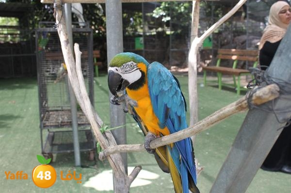 re7la mo2asaasa 0521 (67).JPG